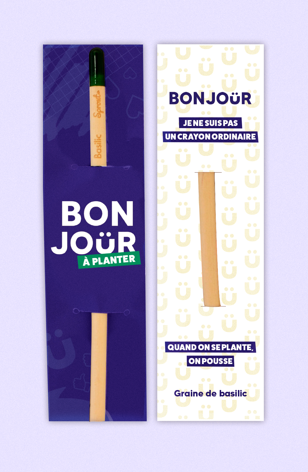 crayon graine basilic bonjour